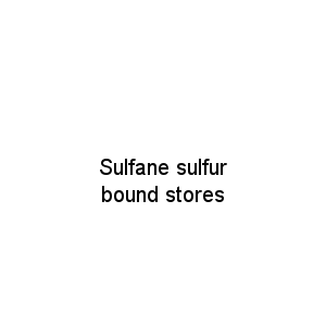 Sulfane sulfur bound stores